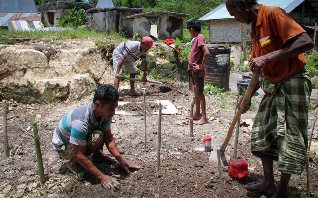 Construction of new sanitation facilities at Ritta, RT 05, Mbinudita Village, East Sumba