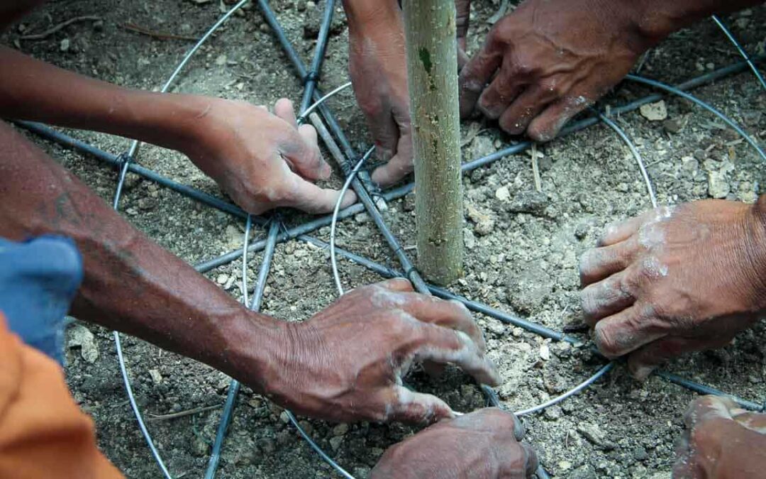 Construction of new sanitation facilities at Ritta, RT 05, Mbinudita Village, East Sumba