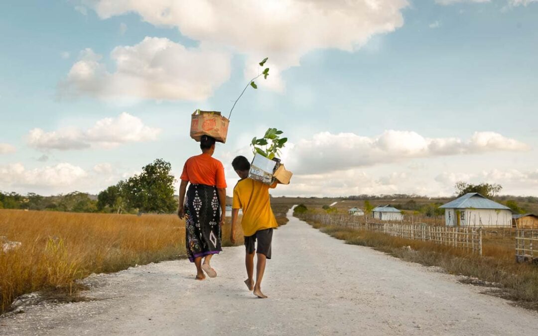 water-east-sumba-19