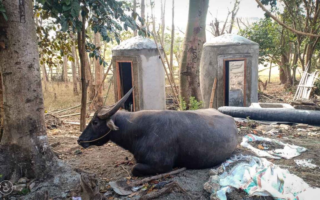 We build  new sanitations and new watertank