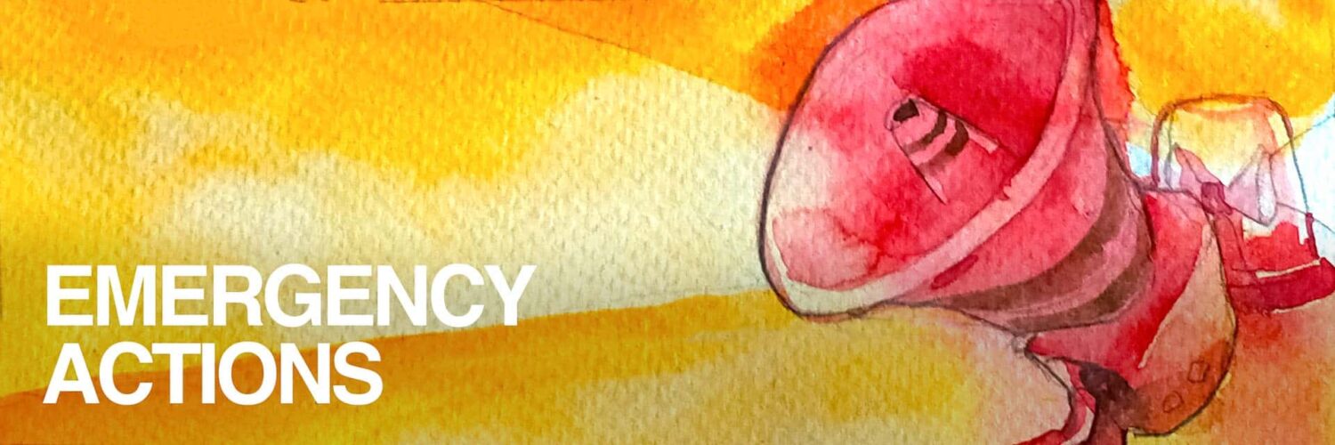 Watercolor illustration of an emergency megaphone representing Fair Future Foundation disaster response in East Indonesia.