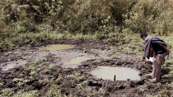 Treating stagnant water to prevent mosquito breeding and dengue in rural Sumba Indonesia